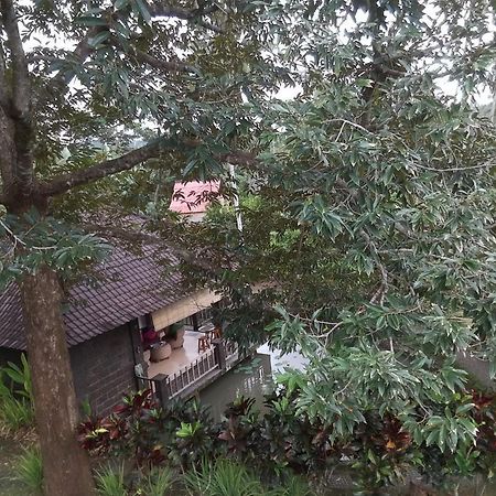 Natural Lodge 2 Selemadeg  Εξωτερικό φωτογραφία